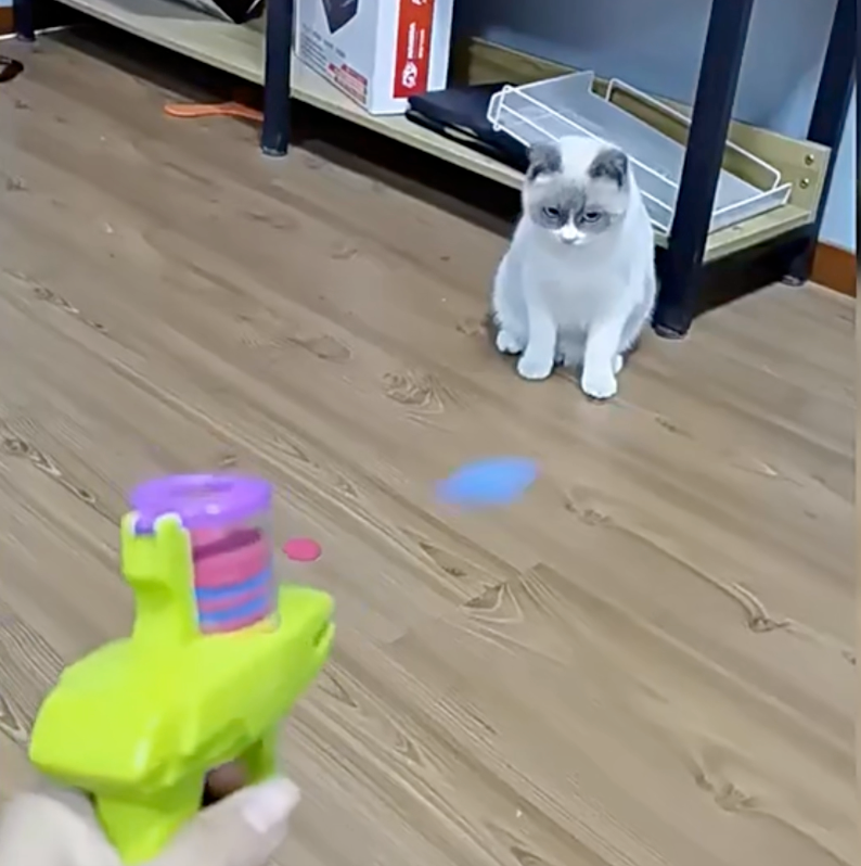 Flying Saucer Discs Launcher Pet Toy